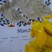 March daffodils by snowy