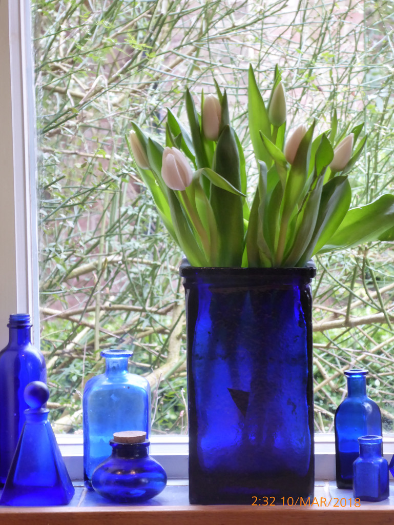 Blue glass with tulips by snowy