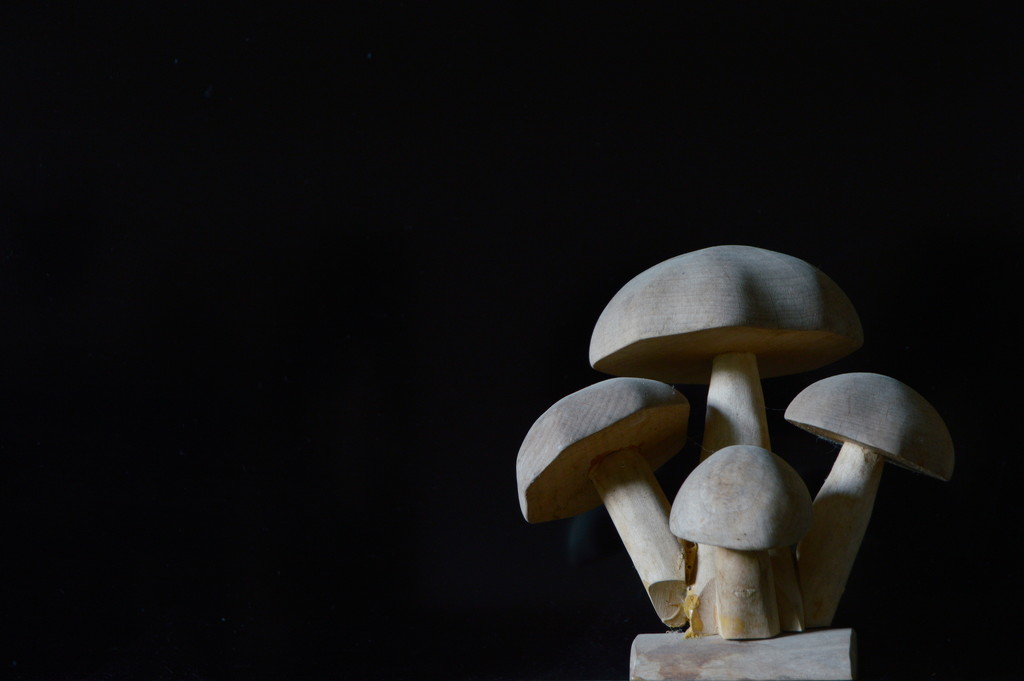 Mushrooms by francoise