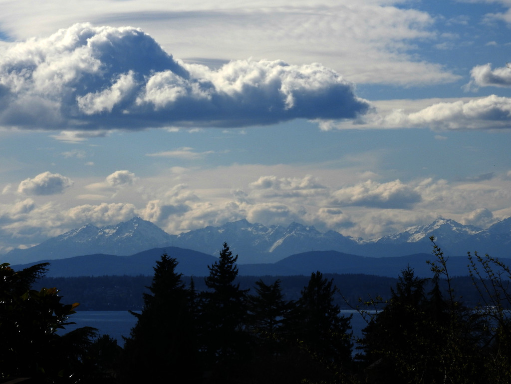 View From A Deck In The Late Afternoon by seattlite