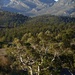 Flinders range  by judithdeacon