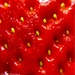 Strawberry  by 365projectdrewpdavies