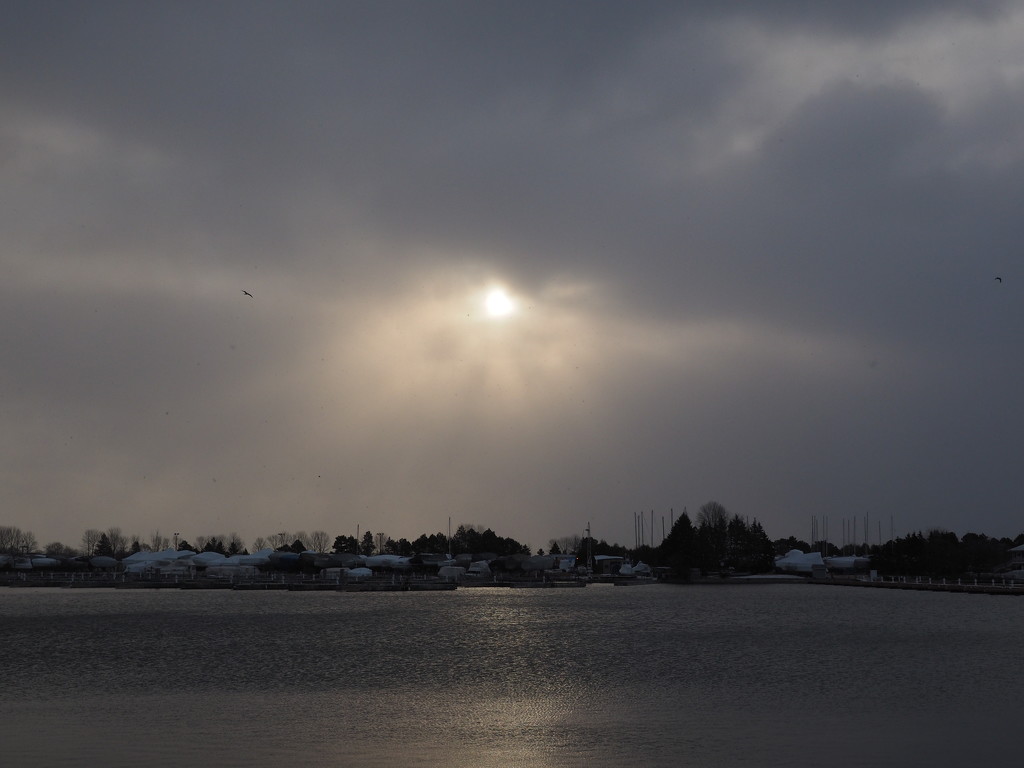 Sun in a Snowstorm by selkie