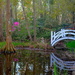 Peaceful scene along the garden walk, Magnolia Gardens, Charleston, SC by congaree