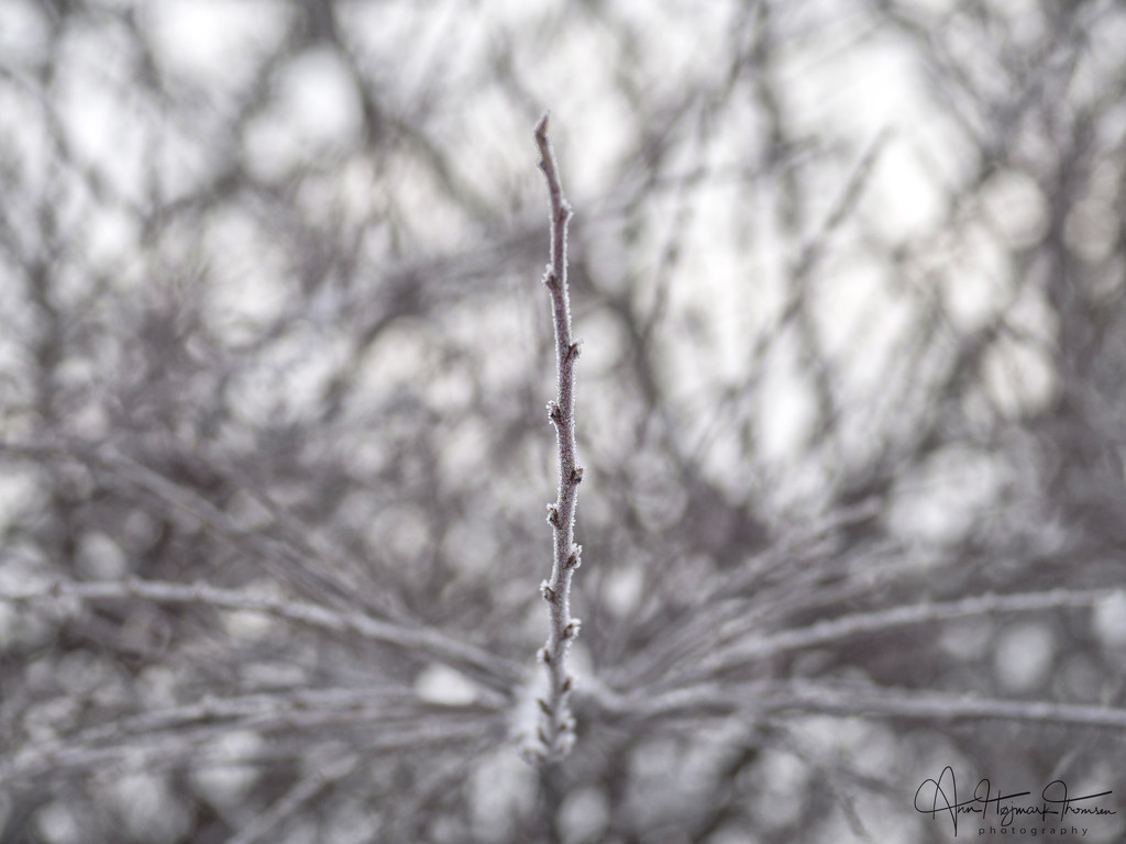 Still freezing… by atchoo