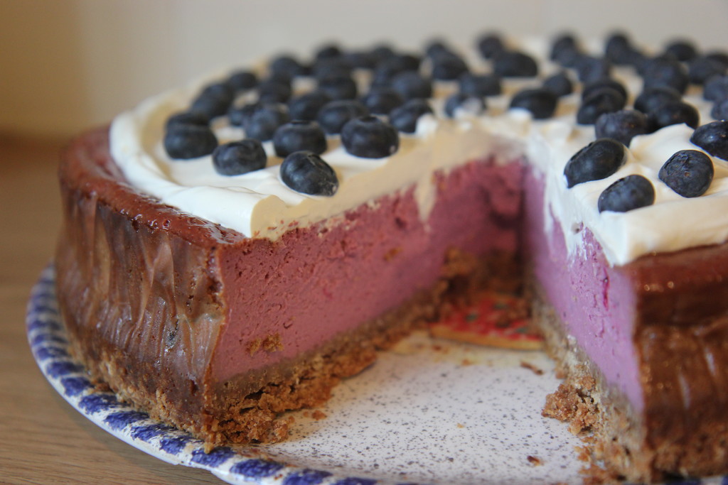 Blueberry Cheesecake by cookingkaren