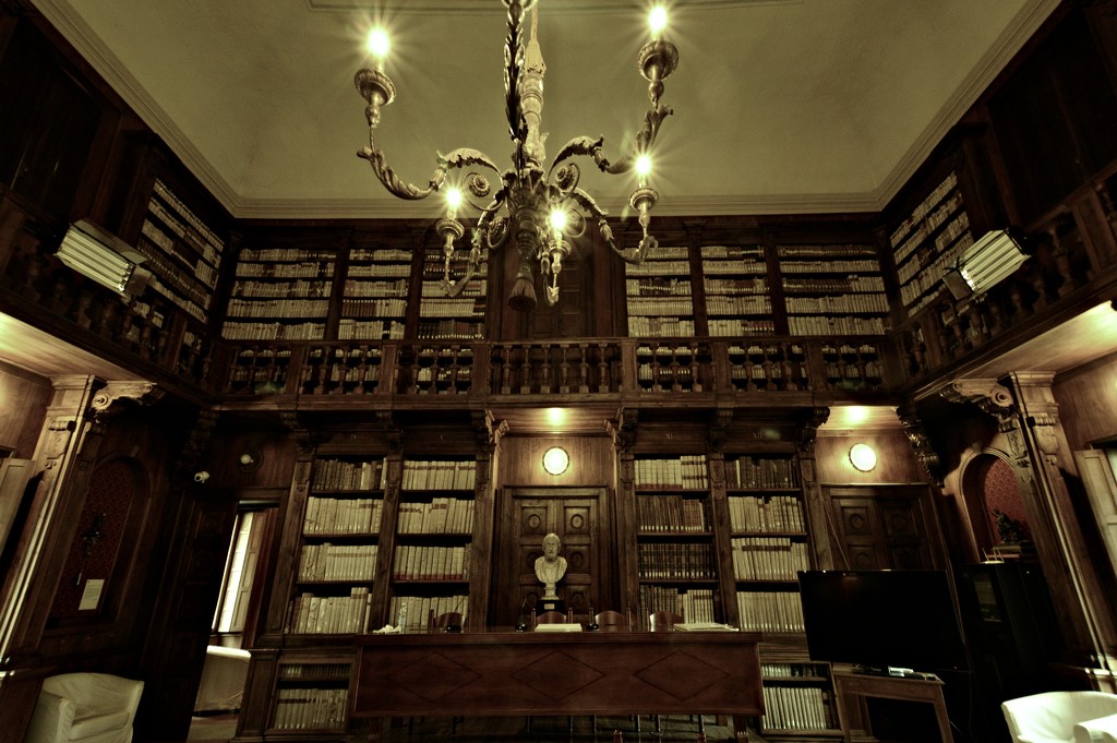 Main room of the library Capitolare by caterina