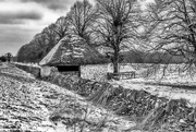 18th Mar 2018 - Thatched Shed