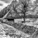 Thatched Shed by rjb71
