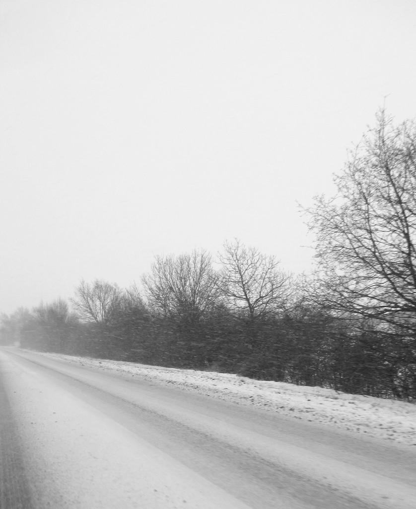 snowy road by filsie65
