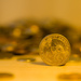 (Day 33) - Gold Dollar by cjphoto