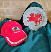 19th Mar 2018 - Y ddraig goch ( "The Red dragon " of Wales )