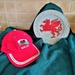 Y ddraig goch ( "The Red dragon " of Wales ) by beryl