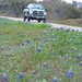 Texas Hill Country in Spring by janeandcharlie