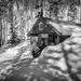 Shadows on the Cabin by 365karly1