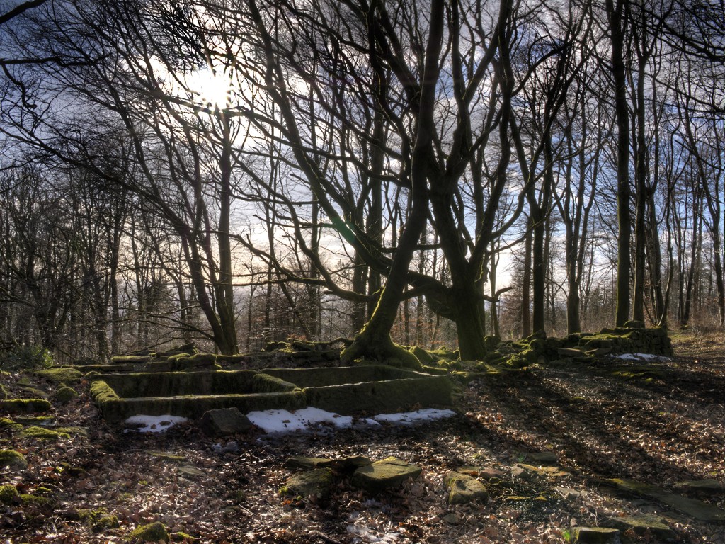 Wilders Wood. by gamelee
