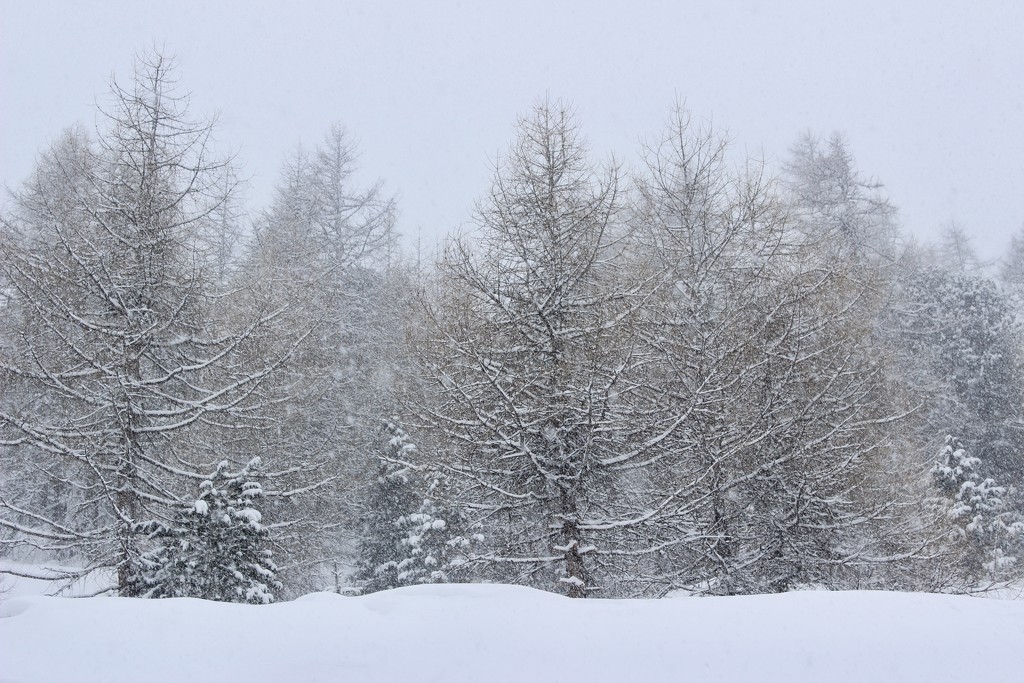 It snows by vincent24