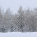 It snows by vincent24