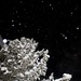 Snowflakes with flash by vincent24