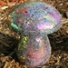 Mosaic Mushroom by harbie