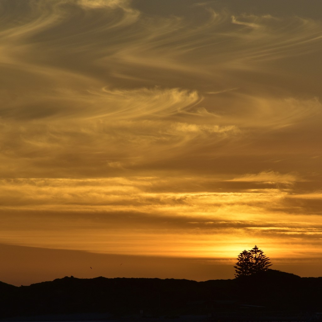 An Orange Sunset_DSC4183 by merrelyn