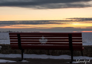 19th Mar 2018 - The Canadian Bench on the Beach