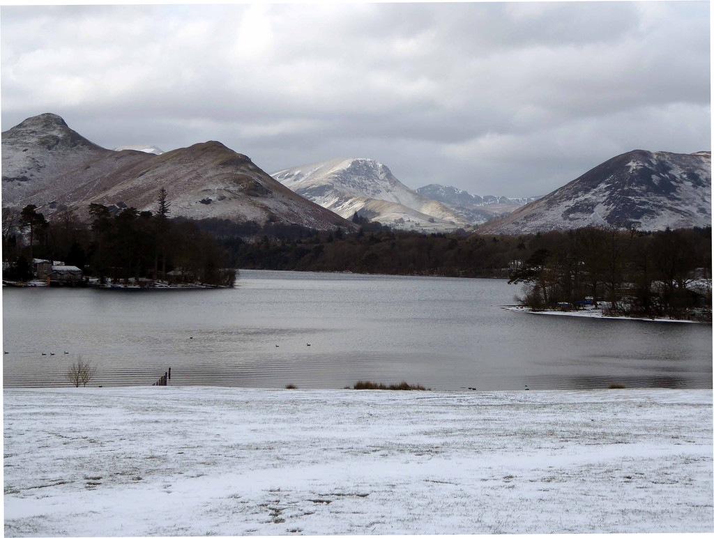 Catbells by cmp