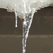 Icicle (1st Day of Spring) by harbie