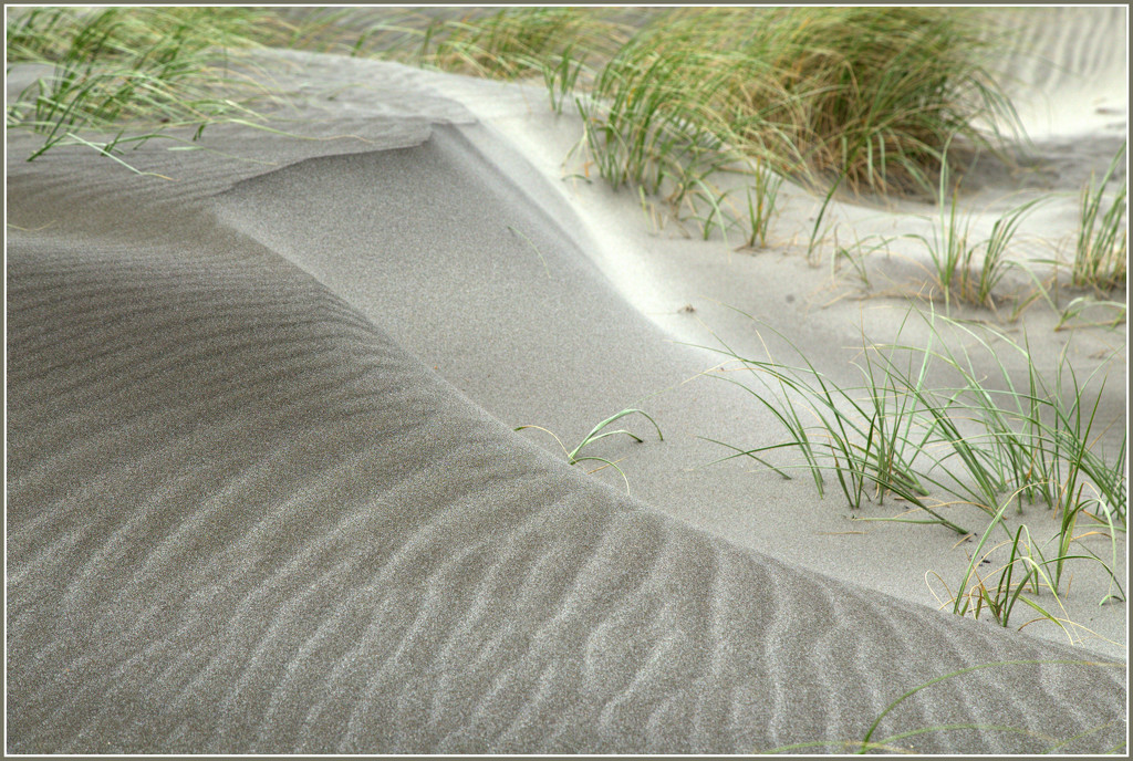 Wind blown sand by dide