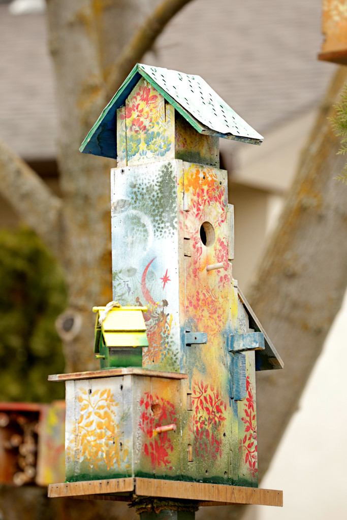 Bird House Art by gq