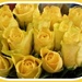 Yellow roses  by beryl