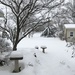 Still snowing-from my kitchen window by beckyk365