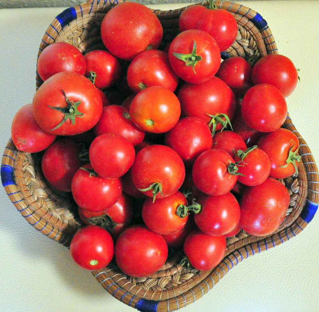 Tomatoes by stownsend