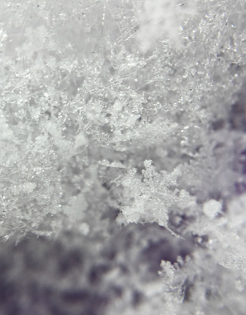Fluffy snowflake. by cocobella