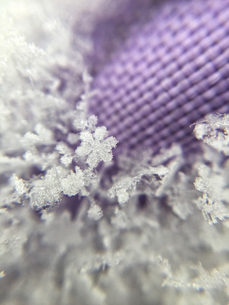 Round snowflake. by cocobella