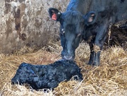 21st Mar 2018 - 2 minutes old