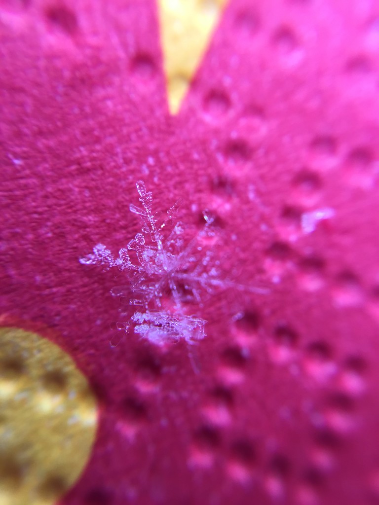 The invisible snowflake. by cocobella