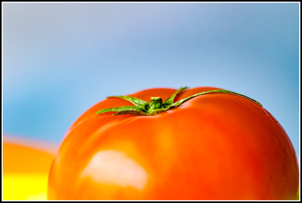tomato by jernst1779