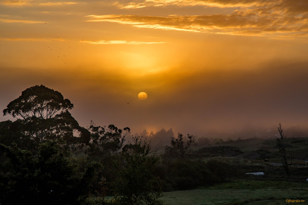 Sunrise through the mist by yorkshirekiwi