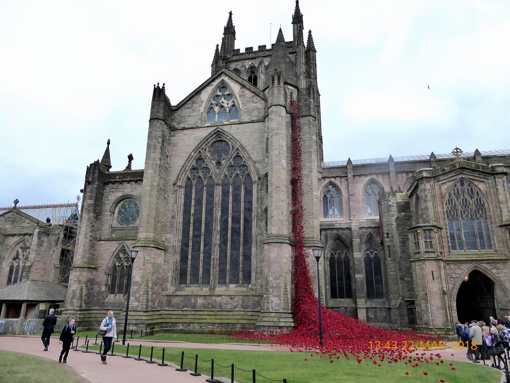 Weeping Window...at Hereford cathedral,]..  by snowy