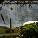 Morning Window after the snow by francoise
