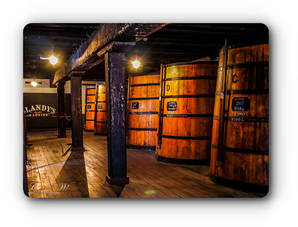 Blandy's Madeira Wine Lodge by carolmw