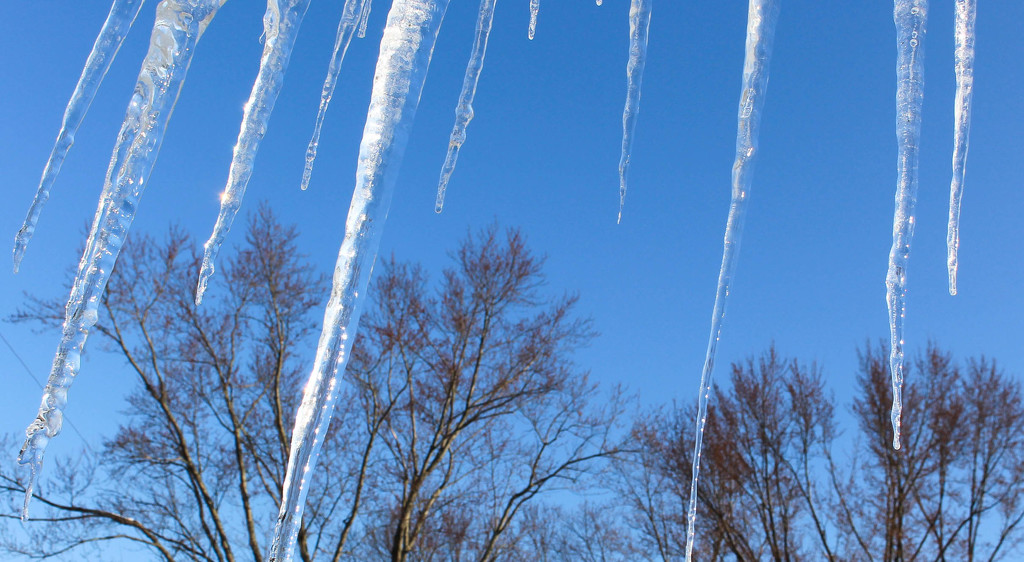 Icicles against the blue sky by mittens