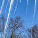 Icicles against the blue sky by mittens