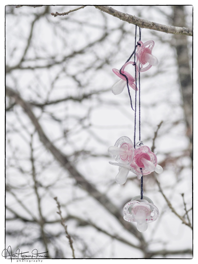 The pacifier tree by atchoo