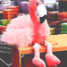 Flamingo Friday by joysfocus