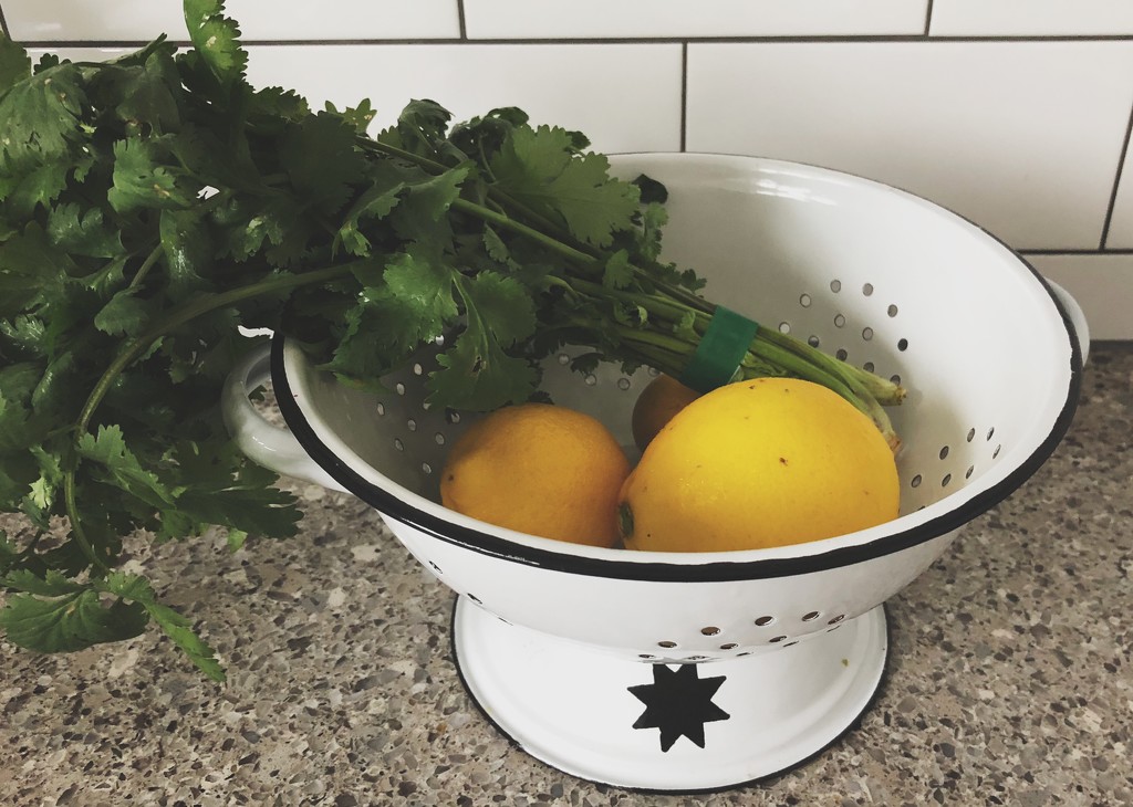 Lemon and coriander go together like... by brigette