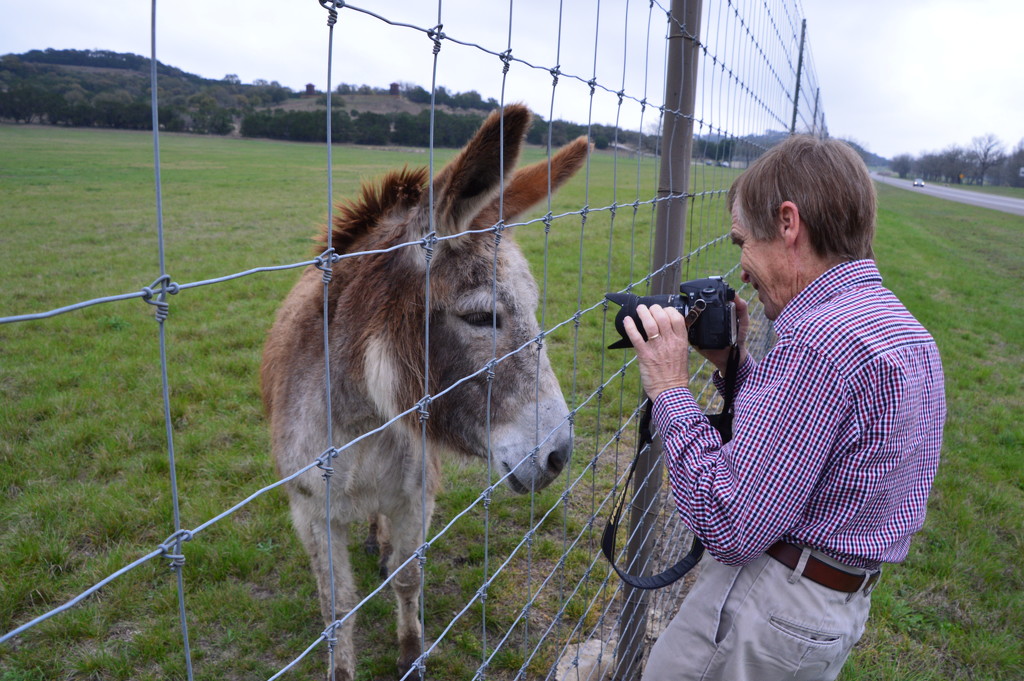 Photographer verses donkey by bigdad