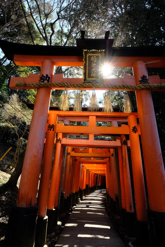 Inari temple, Kyoto by stefanotrezzi