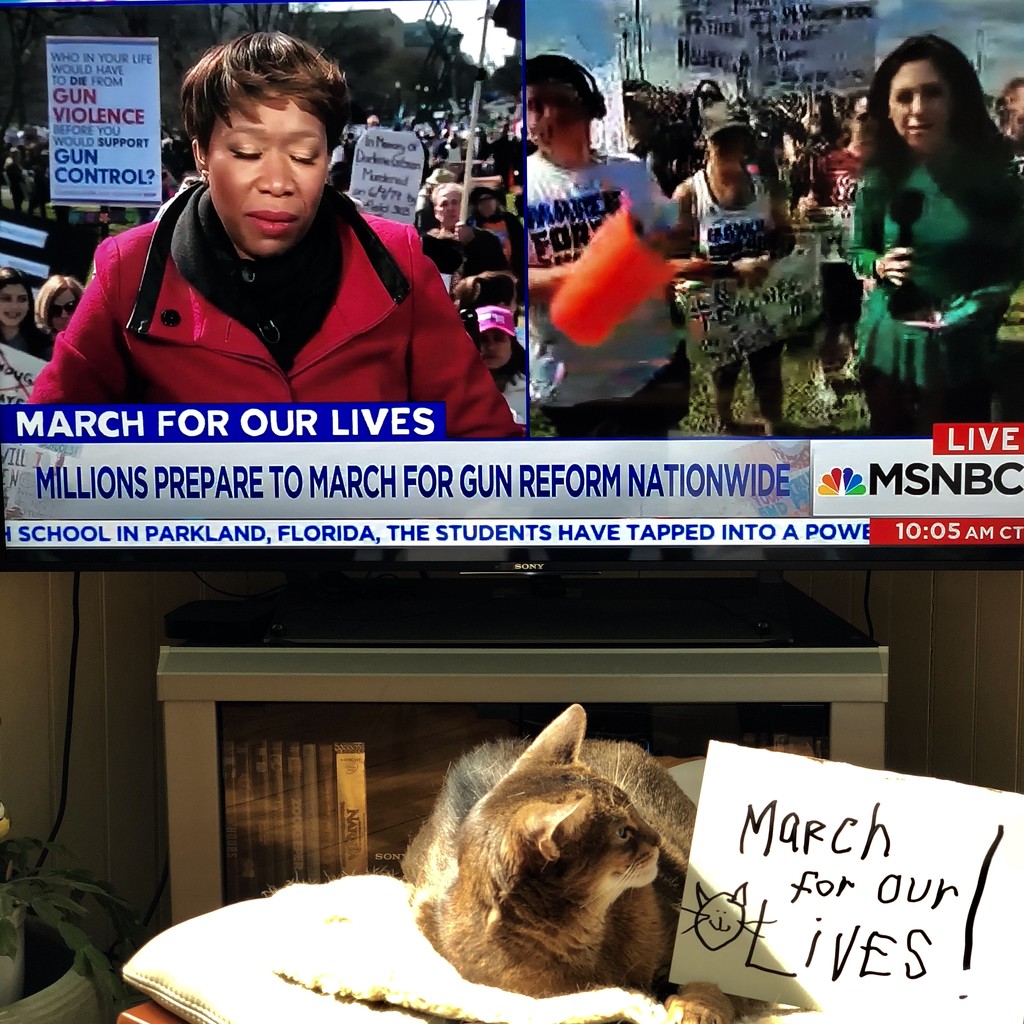 Raspberry supports the March For Our Lives by berelaxed